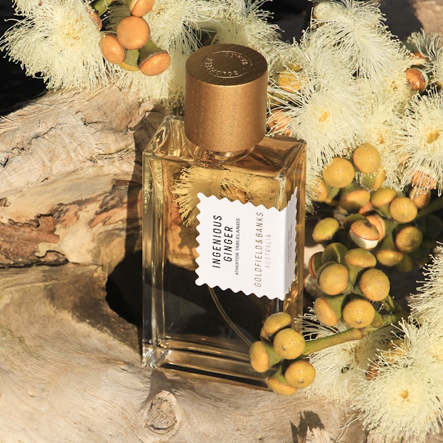 Perfumy niszowe Goldfield Banks Ingenious Ginger - Perfumeria tigerandbear